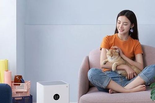 Nhiều gia đình bất ngờ khi phát hiện điều này về máy lọc không khí
