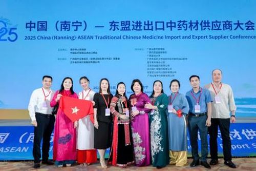 Việt Nam quảng bá dược liệu tại Nam Ninh: Cơ hội vàng kết nối ASEAN - Trung Quốc