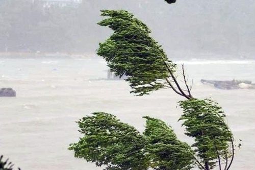 Thủ tướng chỉ đạo nhanh chóng khắc phục hậu quả bão số 5, khôi phục sản xuất
