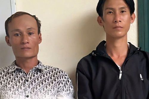 Hai nghi phạm trộm 20 điện thoại ở cửa hàng Điện Máy Xanh khai gì tại cơ quan công an?