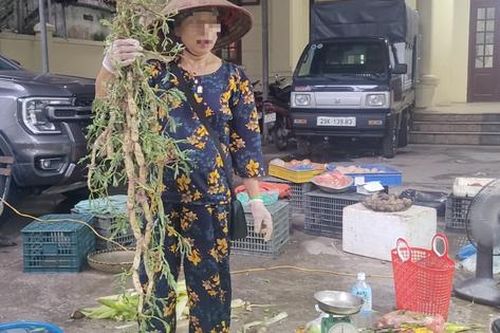 Rau xanh Hà Nội tăng giá gấp đôi vì ảnh hưởng bão số 5