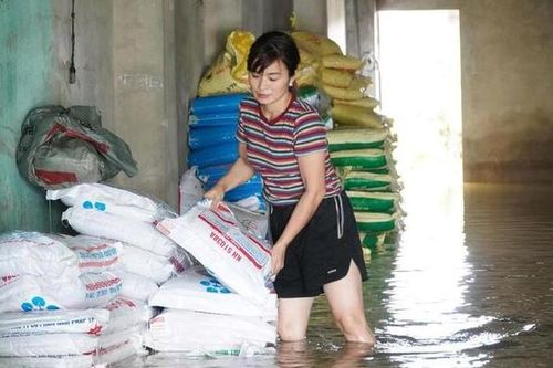 Ngậm ngùi nhìn 15 tấn phân bón chìm trong nước lũ, người dân bì bõm cứu vớt tài sản