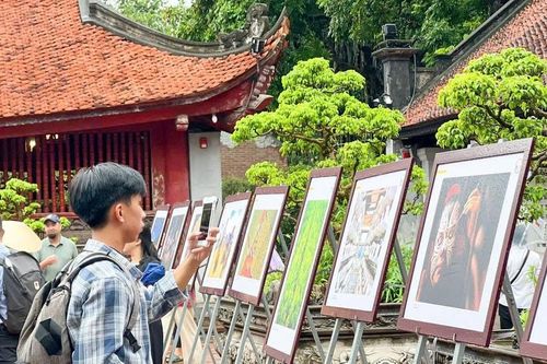 Nhiếp ảnh đưa vẻ đẹp đất nước vươn xa
