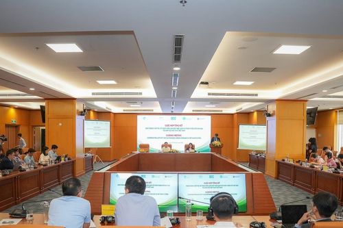 Làm mát các đô thị - vấn đề cấp thiết