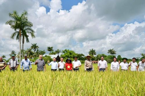 'Hạt giống hạnh phúc' phát sóng song song Việt Nam – Cuba