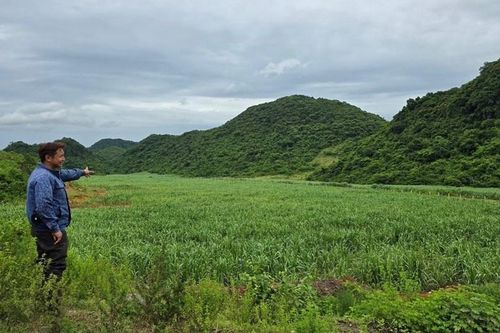 Ninh Bình: Một doanh nghiệp bị thu hồi 64,8ha đất do vi phạm về đất đai