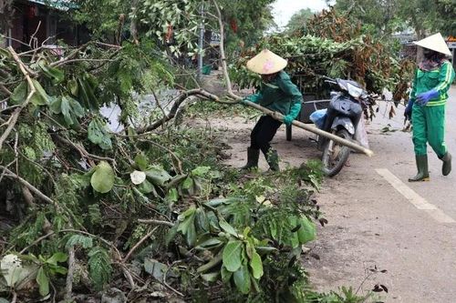 Nghệ An khẩn trương khôi phục hạ tầng đô thị sau bão số 5