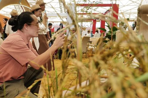 Trưng bày 'Cất cánh từ cội nguồn': Dáng quê hiện lên qua những thiết kế đậm hồn Việt