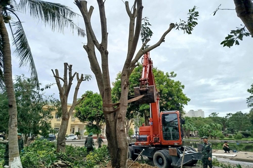 Lữ đoàn Công binh 414, Quân khu 4 huy động nhân lực và máy móc khắc phục hậu quả bão số 5