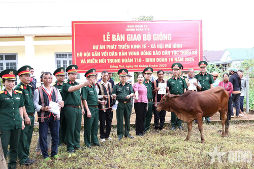 Trung đoàn 719 bàn giao 32 bò giống tặng các hộ đồng bào dân tộc thiểu số và hộ nghèo