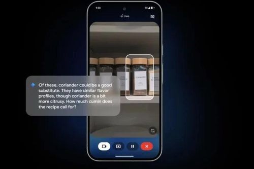 Google nâng cấp Gemini Live thành trợ lý AI biết chỉ trỏ