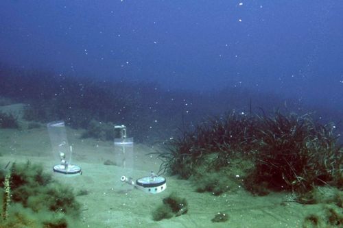 'Kho chứa' CO2 đầu tiên dưới đáy biển
