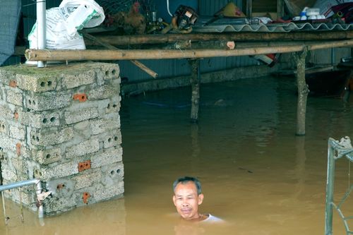 Người dân vùng rốn lũ Thanh Hóa: Nước ngập ngang cổ, vật nuôi sống trên mái nhà