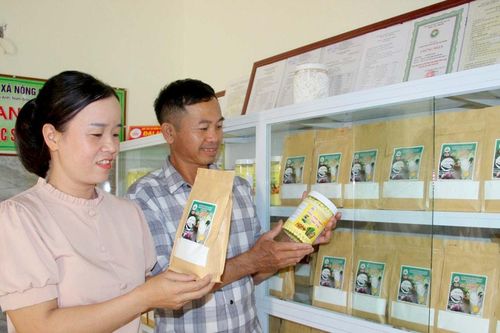 Nhiều lợi thế tạo đà cho OCOP Nghệ An phát triển