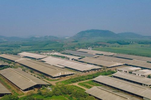 Thúc đẩy các dự án phát triển điện lực, năng lượng trên địa bàn Nghệ An