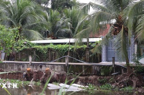 Đồng Tháp có trên 40 điểm sạt lở bờ sông, kênh rạch nghiêm trọng