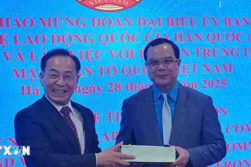 Tổ chức Công đoàn Việt Nam-Hàn Quốc trao đổi thông tin, chia sẻ kinh nghiệm