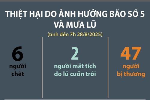 Thiệt hại do ảnh hưởng bão số 5 và mưa lũ