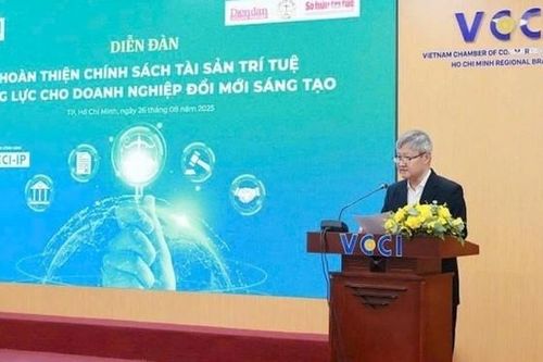 Hoàn thiện chính sách sở hữu trí tuệ: Động lực cho doanh nghiệp đổi mới sáng tạo