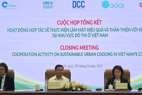 Việt Nam thúc đẩy giải pháp làm mát hiệu quả đô thị