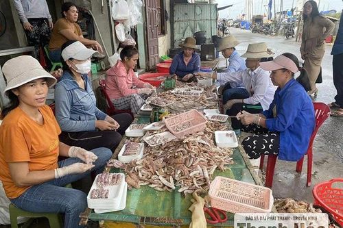 Vạn Lộc phát triển dịch vụ hậu cần nghề cá