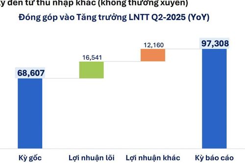 'Vùng xám' lợi nhuận quý 2/2025: Đột biến nhờ khoản thu bất thường, lợi nhuận lõi giảm tốc