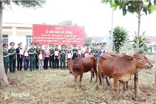 Trung đoàn 719 tặng bò giống cho 32 hộ gia đình có hoàn cảnh khó khăn