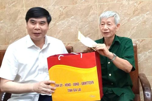 Phó Chủ tịch UBND tỉnh Lâm Hải Giang tặng quà tri ân các gia đình chính sách ở phường Quy Nhơn Tây