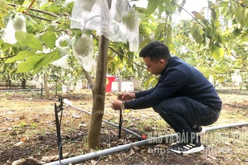 Công nghệ tiếp sức nhà nông