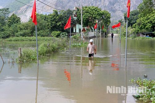 Xã Thanh Lâm di dời người và tài sản của 188 hộ vùng ngoài đê do lũ sông Đáy lên cao