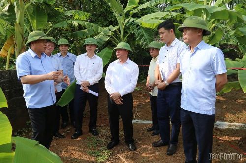 Phó Chủ tịch UBND tỉnh Đinh Công Sứ kiểm tra sạt lở bờ sông tại các xã Hiền Quan, Tam Dương