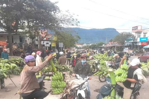 'Chạy chợ' trên non cao