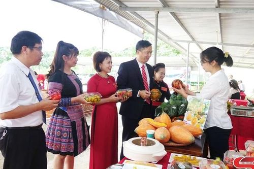 Xây dựng nông thôn mới sau sắp xếp đơn vị hành chính