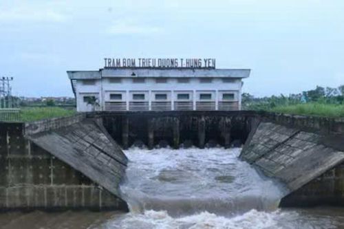 Hưng Yên: Hơn 1.100ha lúa ngập úng cục bộ sau bão số 5