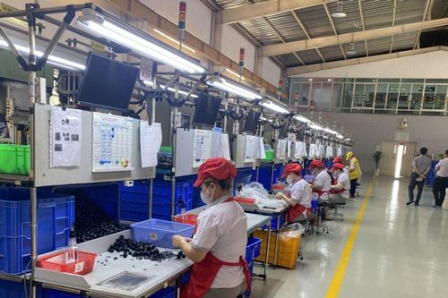 Từng bước hình thành hệ sinh thái công nghiệp hỗ trợ hoàn chỉnh