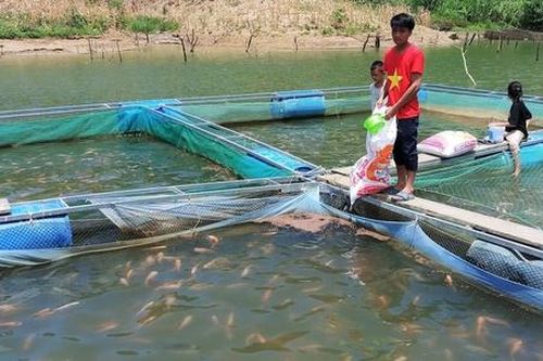 Giảm nghèo bền vững mang lại cuộc sống mới cho đồng bào Cơ Tu ở vùng cao Nam Giang