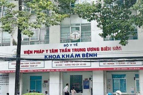 Vụ sai phạm tại Viện Pháp y tâm thần Trung ương Biên Hòa: Đề nghị truy tố 33 bị can