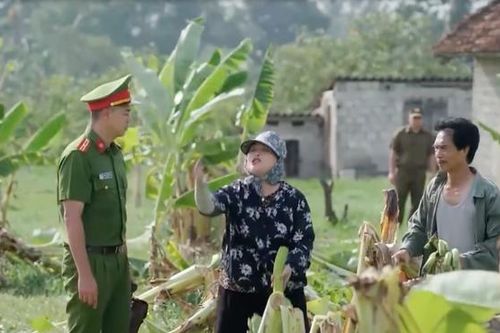 Chưa xong vụ cá chết, Thiếu tá Huy tiếp tục điều tra hàng loạt vườn chuối bị phá hoại