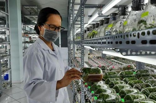 Hướng đến nền nông nghiệp hiện đại