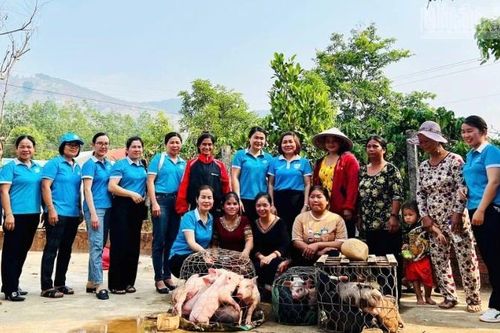 Điểm tựa cho đồng bào dân tộc thiểu số vươn lên thoát nghèo