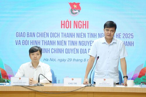 Gần 6.900 đội hình thanh niên tình nguyện hỗ trợ vận hành chính quyền địa phương hai cấp