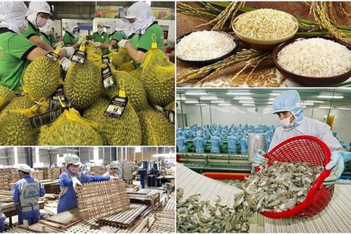 Thủ tướng yêu cầu tăng cường truy xuất nguồn gốc, đảm bảo chất lượng nông, lâm, thủy sản xuất khẩu
