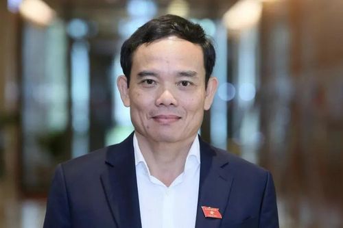 Chuyển sinh hoạt đoàn đại biểu Quốc hội đối với đồng chí Trần Lưu Quang