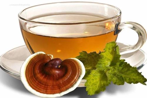 Trà thuốc chữa thiểu năng tuần hoàn não, phòng đột quỵ