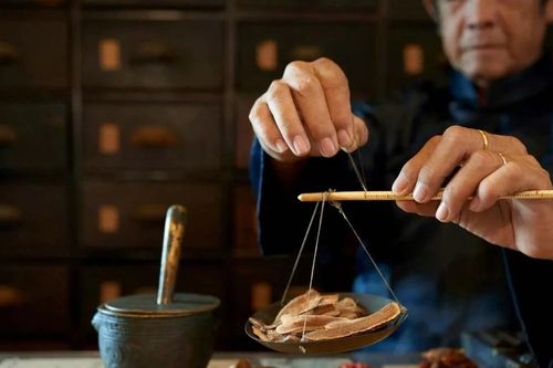 Sinh viên Trung Quốc tìm về Đông y
