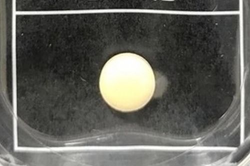 Nhật Bản phát triển thuốc có thể loại bỏ cơn đau, không gây tác dụng phụ nghiêm trọng