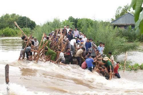Sức dân