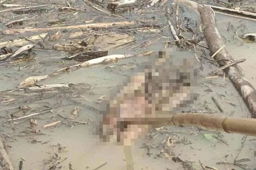 Liên tiếp phát hiện nhiều thi thể trôi dạt về lòng hồ thủy điện ở Nghệ An