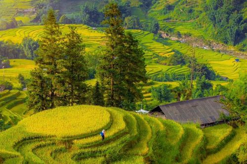 Top 3 địa điểm du lịch ở miền Bắc thu hút du khách dịp nghỉ lễ 2/9