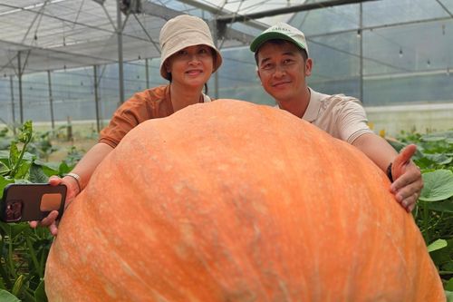 Thu hoạch quả bí ngô hơn 170kg, người đàn ông ở Lâm Đồng có quyết định bất ngờ